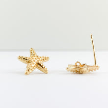 Load image into Gallery viewer, Starfish stud earrings with eyelet, ultra-sensitive
